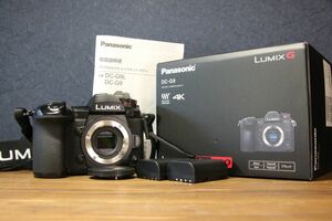 【同梱歓迎】【動作保証・点検済】良品■パナソニック PANASONIC LUMIX DC-G9 ボディ■バッテリー×3個・チャージャー・元箱付き■RR621