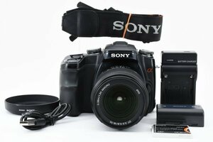 ★良品★ ソニーSONY α100 ボディ レンズ 18-70 ケース付 デジタル一眼レフカメラ DSLR-A100 F6022