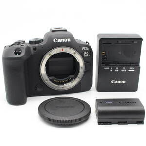 ★美品★Canon EOS R6 MarkⅡ ショット数7000以下★4874