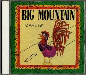 CD★BIG MOUNTAIN／WAKE UP