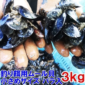 小さめサイズ 釣り餌に★ムラサキイガイ小さめ３ｋｇ 冷凍品イガイ カラス貝 ムール貝 釣りエサクロダイ 黒鯛 チヌ 石鯛★