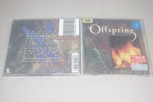 ○洋　The Offspring　Ignition　CD盤（レンタル版）