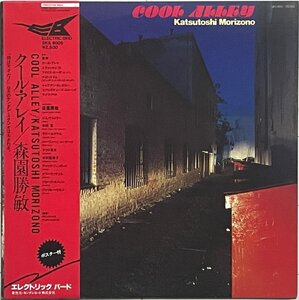 Light Mellow傑作　森園勝敏(四人囃子/プリズム)　アナログLP『COOL ALLEY』ポスター無/Jim Keltner/Lally Knechtel/中村哲/Harvey Newmark