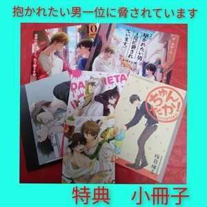 抱かれたい男1位に脅されています。桜日梯子　小冊子　リーフレット　特典　非売品