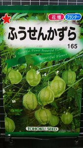 ３袋セット ふうせん かずら 風船かずら 種 郵便は送料無料