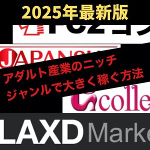 【マジで月収100万円稼ぐための副業戦略】ニッチジャンルを狙ったアダル●ビジネスX(Twitter)×ブログを使った入金システムの作り方