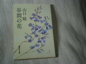 ★山口瞳『谷間の花』・集英社文庫・昭和55年・初版