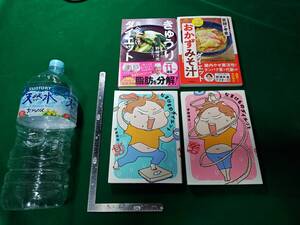 なまけものダイエット 楽して痩せたい甘口篇 とにかく痩せたい辛口篇 伊藤 理佐 2冊 まとめて おまけつき