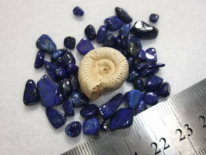 アンモナイトammoniteペリスフィンクテスとラピスラズリlapis lazuli 中東産セット　5　研磨原石等 67.0ct 天然石!貝巻きが綺麗　765-7