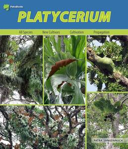 （◎＿◎；）★本★ Platycerium　2019年版 ★English Edition★英語版★サイン入り★ポストカード付き★新品★即決★★ 