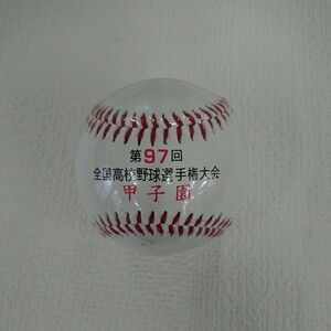 第９７回 全国高校野球選手大会 甲子園 