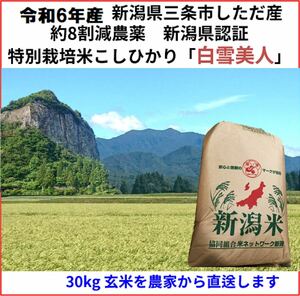 令和6年産新米　減農薬　新潟こしひかり玄米30kg 新潟県三条市旧しただ村産　新潟県認証　特別栽培米100%本物 白雪美人 グルテンフリー