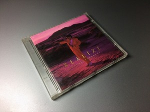 【即決】 徳永英明　REALIZE リアライズ　ゴールドCD　純金蒸着 GOLD CD