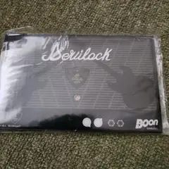 雑誌 BOON 付録 デビロック、ギターのピック DEVILOCK ふろく