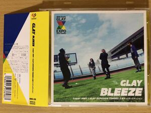GLAY BLEEZE 〜Loppi・HMV × GLAY EXPO2014 TOHOKU 応援チャリティエディション〜