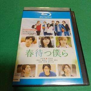 Blu-ray 青春映画「春待つ僕ら」主演: 土屋太鳳, 北村匠海「レンタル版」 