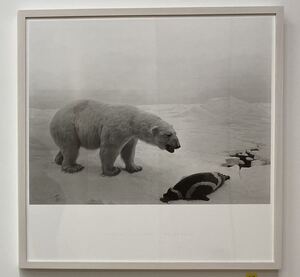 杉本博司 HIROSHI SUGIMOTO ポスター POLAR BEAR シロクマ 森美術館 STARS展