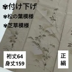 付け下げ 正絹 松の葉模様 芝草模様 広衿 袷 着物 翼-206