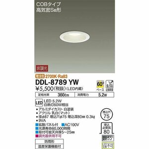 モデルルーム展示使用品　大光電機 DDL-8789YW DAIKO ダウンライト 照明器具