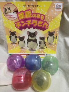 ◎ IP４アイピーフォー KOROKORO めーちっさい 威厳のあるチンチラさん フィギュア ５コセット 現状品