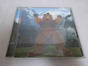 ウルフルズ CD 