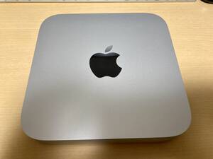 Apple Mac mini 2023 M2 Pro SSD1TB メモリ32G 10GbE