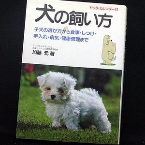 ◆犬の飼い方―子犬の選び方から食事・手入れ・しつけ・健康管理まで (1986) ◆加藤元◆池田書店