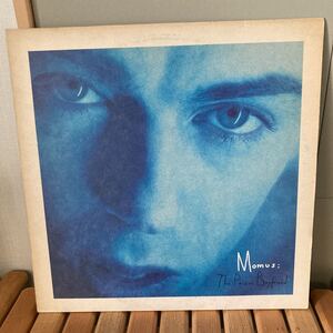 momus、the poison boyfriend、 LP、インディロック、ギターポップ、ネオアコ、indie rock