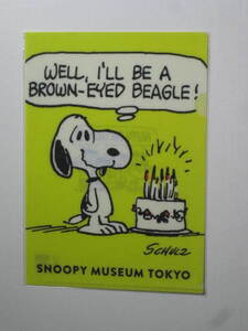 スヌーピーミュージアム（ SNOOPY MUSEUM TOKYO ） クリアファイル A5 バースデー　送料無料　PEANUTS スヌーピー