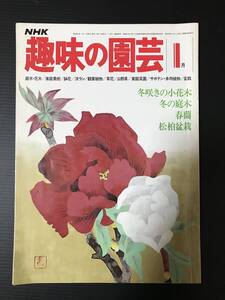 NHK　趣味の園芸　１月　昭和５５年１月１日発行