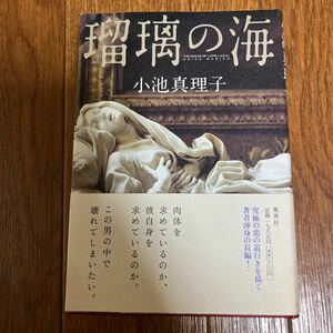 【署名本/落款/初版】小池真理子『瑠璃の海」直木賞受賞作家 集英社 帯付き 初版