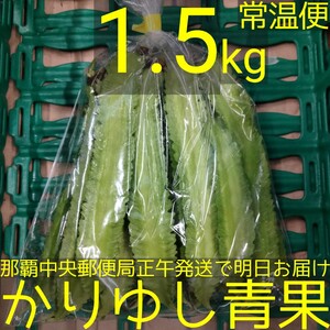 沖縄県産 うりずん豆（琉球四角豆）約1.5kg 【常温便】⑨