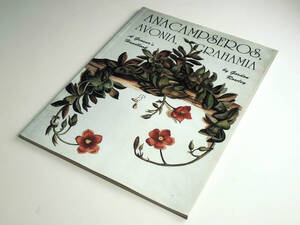 【海外書籍】Anacampseros, Avonia, Grahamia: A Grower