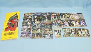 カード　大量 松井秀喜 ホームランカード 野球カード 巨人 ジャイアンツ まとめ売り セット 不揃い