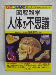 図解雑学 人体の不思議 安藤幸夫 ★ 化学伝達物質 遺伝子 細胞 免疫 生命活動 免疫 健康 血液 消化器 泌尿器 生殖器 感覚器 心臓 血管 脳