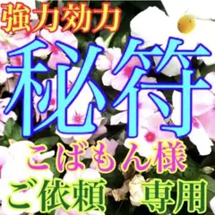 秘符(こばもん様専用)病気　重病　治癒　治病　無病息災　健康　護符　霊符　お守り