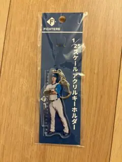 北海道日本ハムファイターズ　松本剛　アクリルキーホルダー