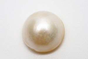 マベ真珠パールルース　19mm　ホワイトカラー