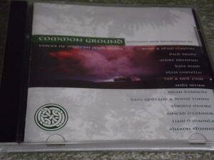 ★Various Artists/Common Ground Voices Of Modern Irish Music 輸入盤アメリカ盤 Kate Bush 参加★1996年発売 EMI Records