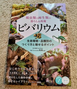 【極美品！】ビバリウム 爬虫類 両生類