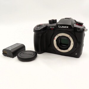 1円〜 Panasonic パナソニック LUMIX GH5S ミラーレス一眼レフカメラ ボディのみ 動作確認済 現状品 y194-3396441【Y商品】