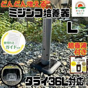 【ミジンコ培養器Lサイズタライ36L】タマミジンコタイリクミジンコオオミジンコ培養器メダカ卵めだか錦鯉金魚熱帯魚稚魚生餌培養液おまけ