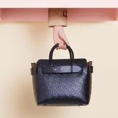 極上美品⭐️BURBERRY バーバリー ハンドバッグ ショルダーバッグ 2way