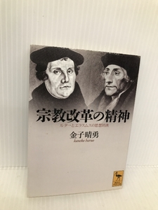 宗教改革の精神: ルターとエラスムスの思想対決 (講談社学術文庫 1525)