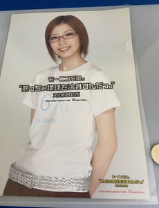 メロン記念日 トレーディング ピンナップポスター 村田めぐみ 2005 熱っちぃ地球を冷ますんだっ。 文化祭 A4サイズ クリアファイル 生写真