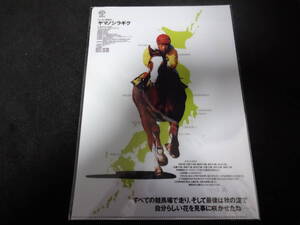 JRA ヒーロー列伝No.21 ヤマノシラギク クリアファイル 新品未開封 2017年来場ポイント