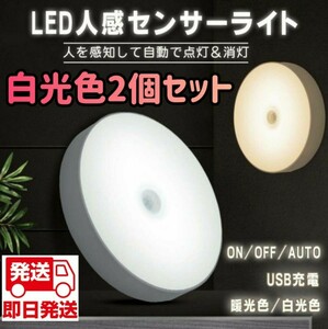 【新品　本日発送】人感センサー 人感ライ 人感センターライト 電球色 LED ワイヤレス 自動点灯 小型 ナイトライト 常夜灯 ライト 照明 