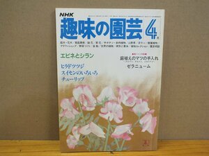 NHK 趣味の園芸「エビネとシラン」昭和57年4月