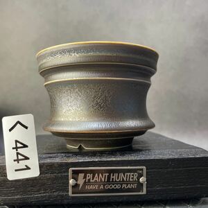 く441 HAND Made 植木鉢 陶器検（アガベ パキプス invisible ink raw life factory SRL 楽カタチ製作所 グラキリス 塊根植物 信楽焼 亀甲竜