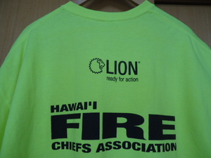 即決　ハワイ　消防士　2015